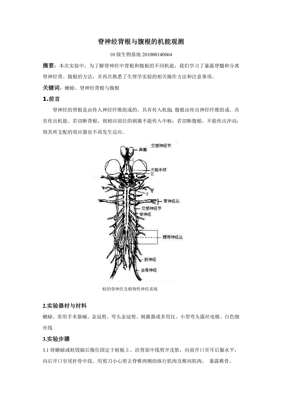 脊神经背根与腹根的机能观测_第1页