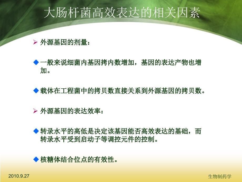 生物制药——工程菌的高效表达及稳定性_第5页