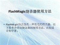 FlashMagic烧录器使用方