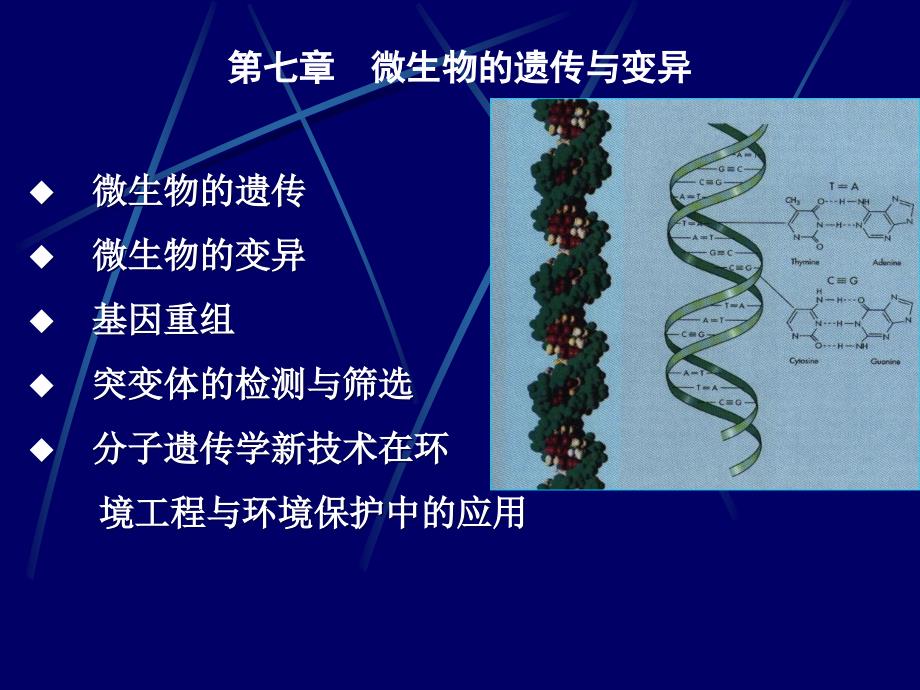 第七章微生物的遗传与变异_第2页