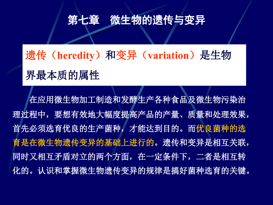 第七章微生物的遗传与变异_第4页