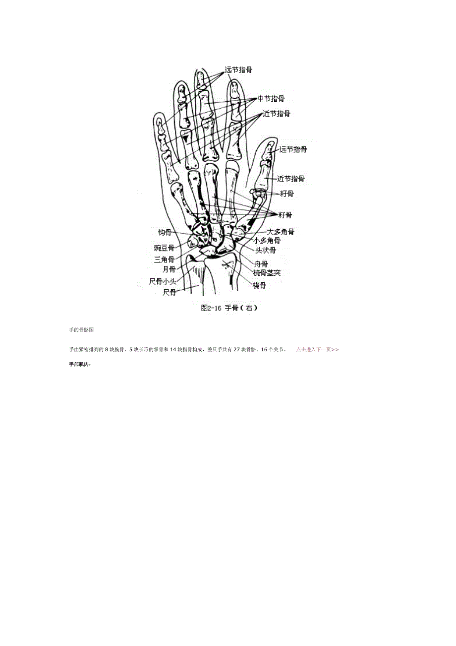 素描画手的方法,如何用素描画好手_第3页