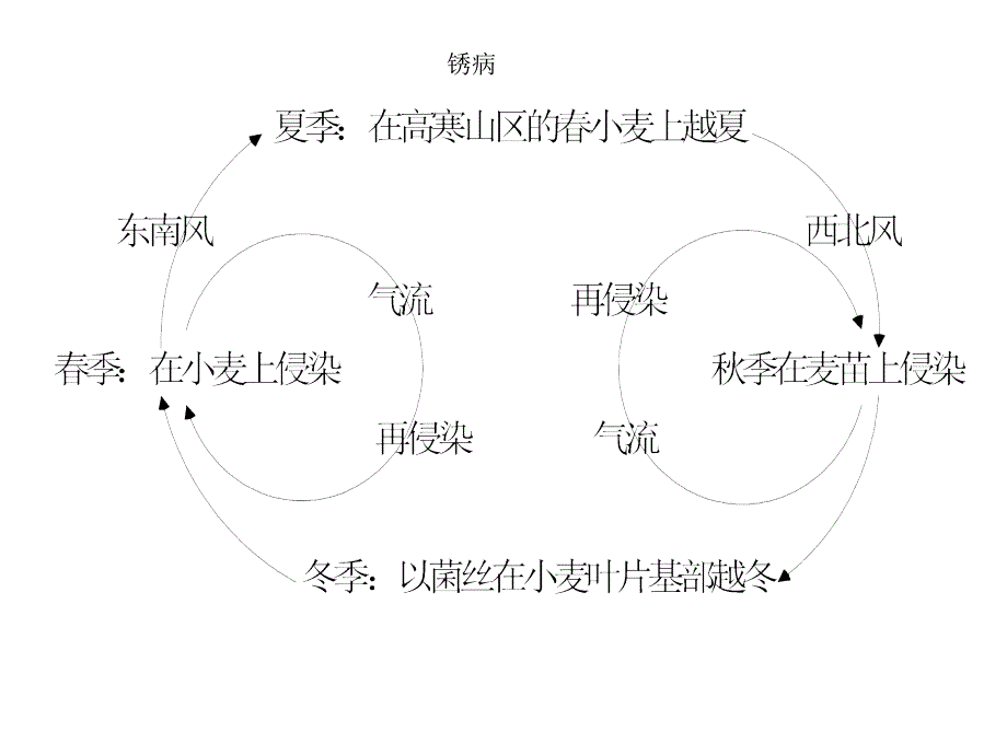 病虫害侵染循环_第1页