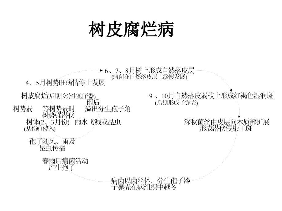 病虫害侵染循环_第5页