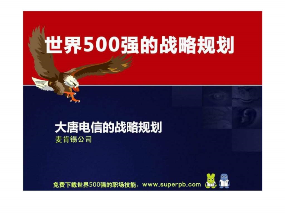 世界500强的战略规划 麦肯锡—大唐电信战略规划_第1页