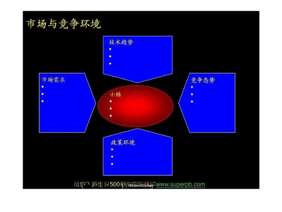 世界500强的战略规划 麦肯锡—大唐电信战略规划_第5页