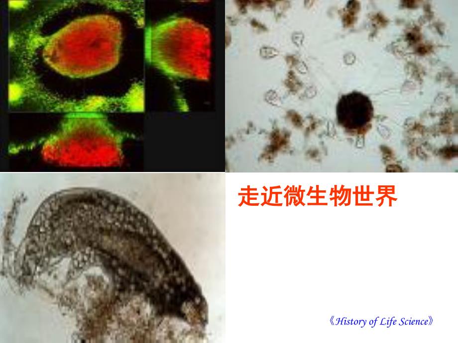 好大学在线MOOC生命科学发展史课件8_第1页