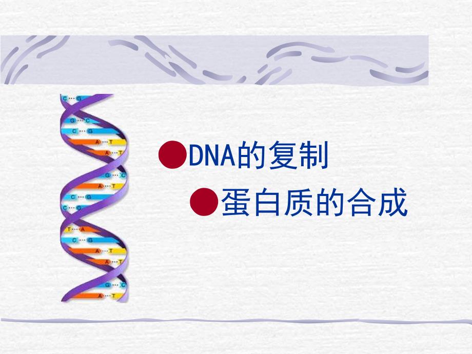 DNA的复制、转录、翻译_第1页