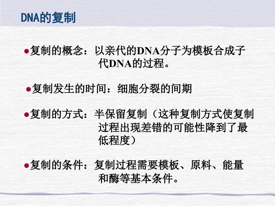 DNA的复制、转录、翻译_第3页