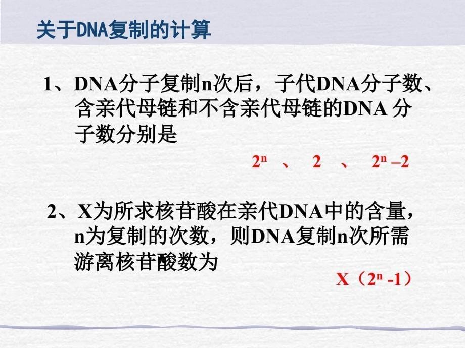 DNA的复制、转录、翻译_第5页