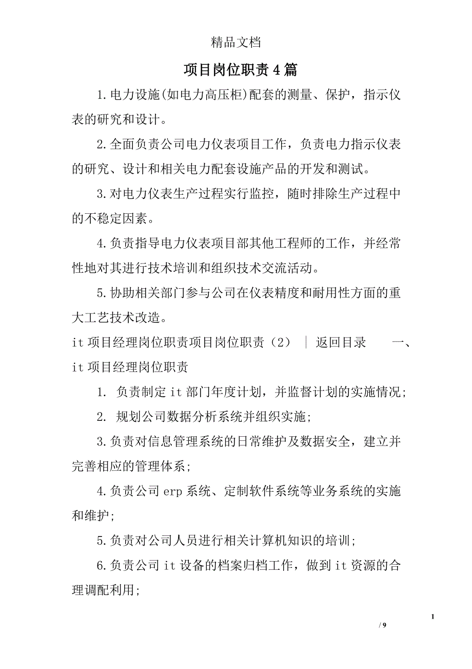 项目岗位职责精选_第1页