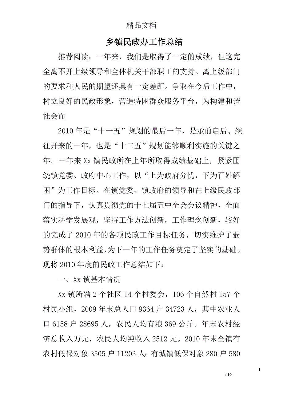 乡镇民政办工作总结精选 _第1页