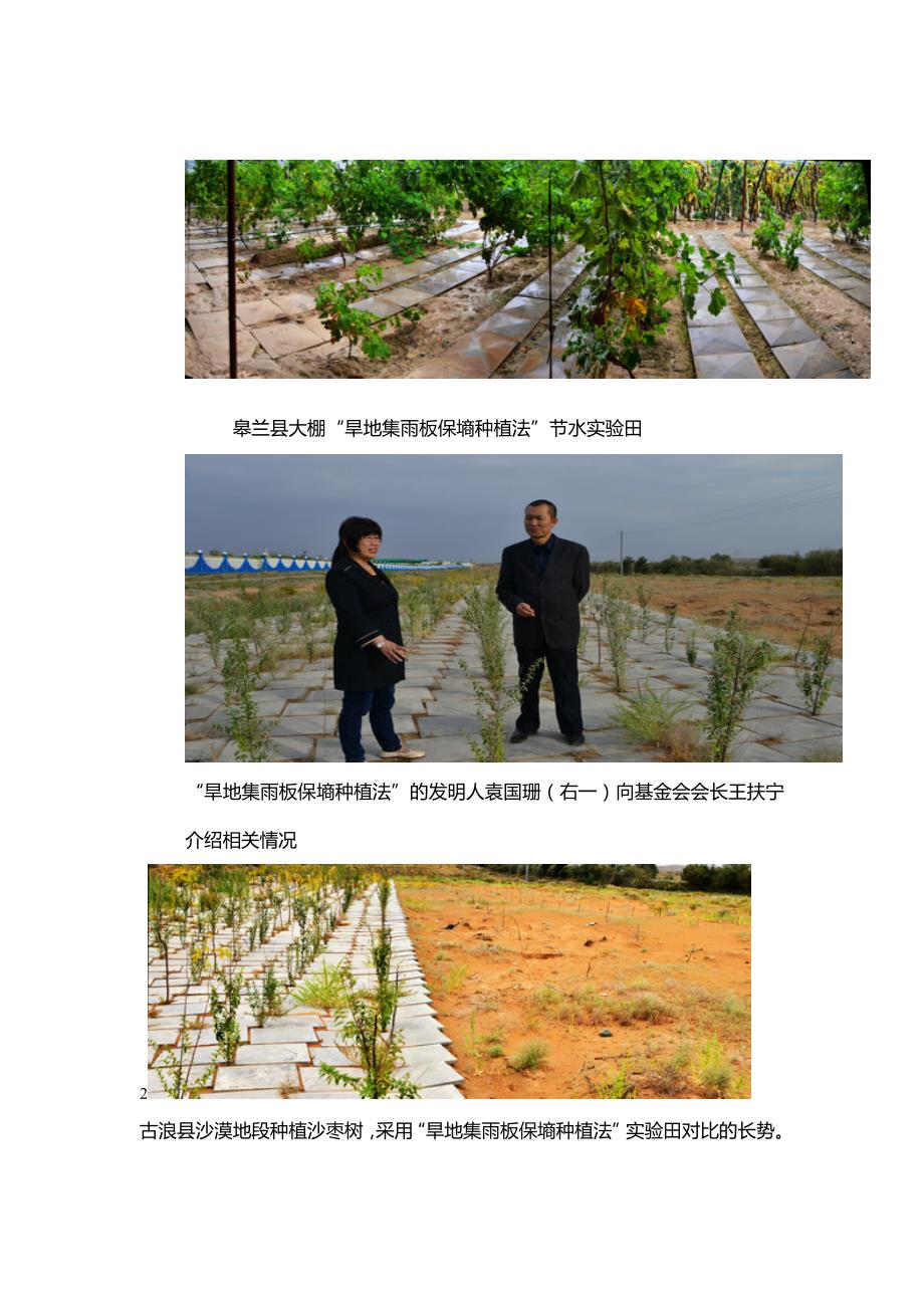 一种“旱地集雨板保墒种植法”在甘肃试验成功 - 副本_第3页