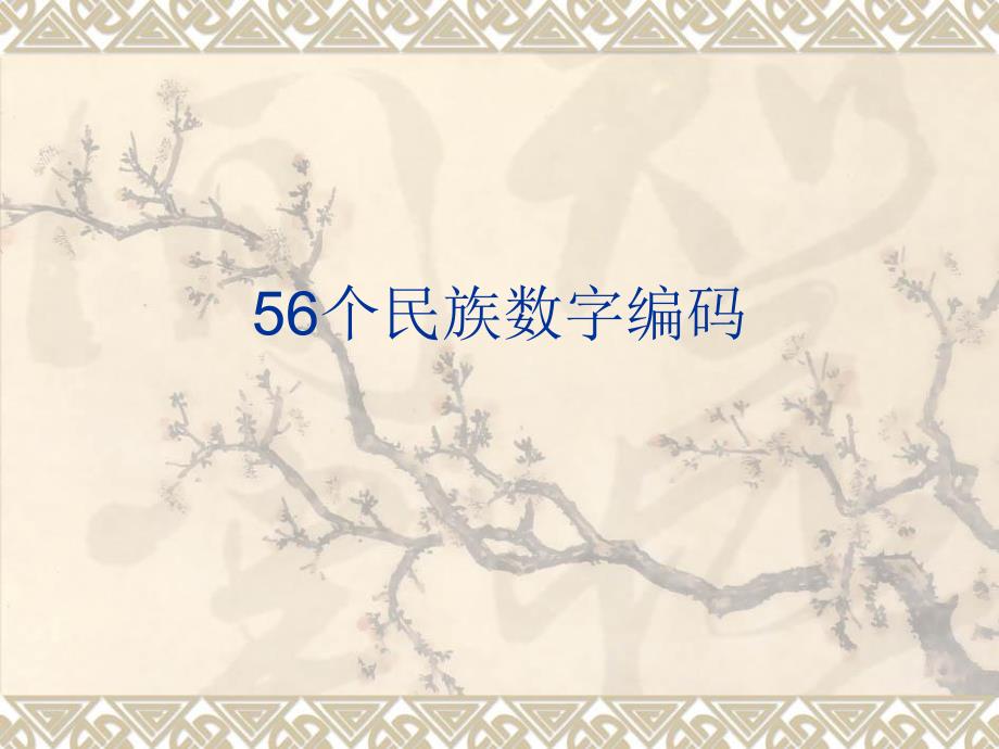 56个民族编码附解说_第1页