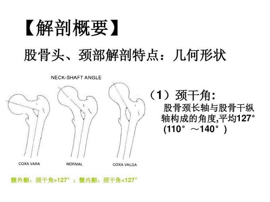 股骨颈骨折与股骨粗隆间骨折_第5页