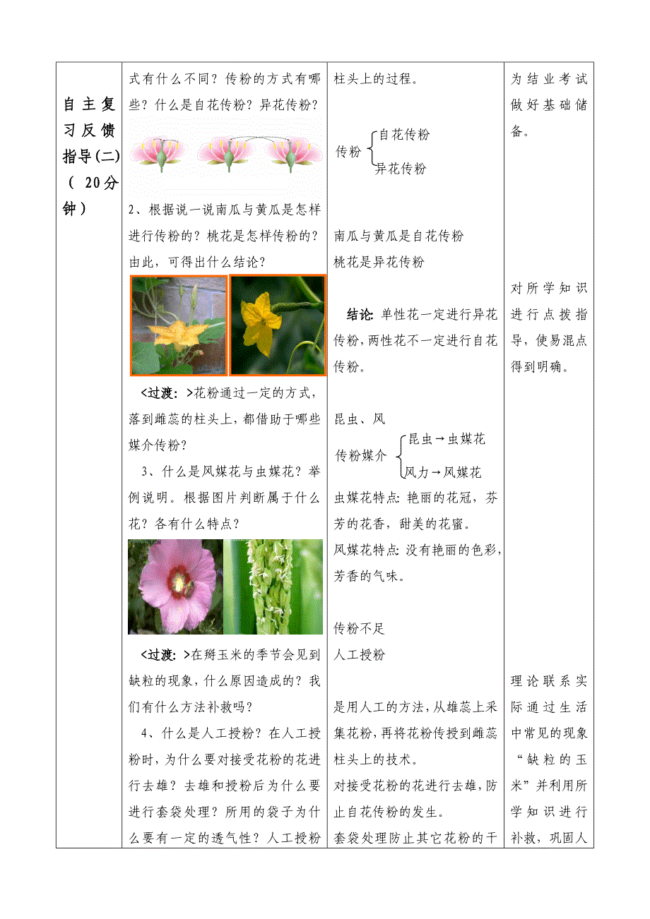 绿色开花植物的一生1~3节(复习)_第4页