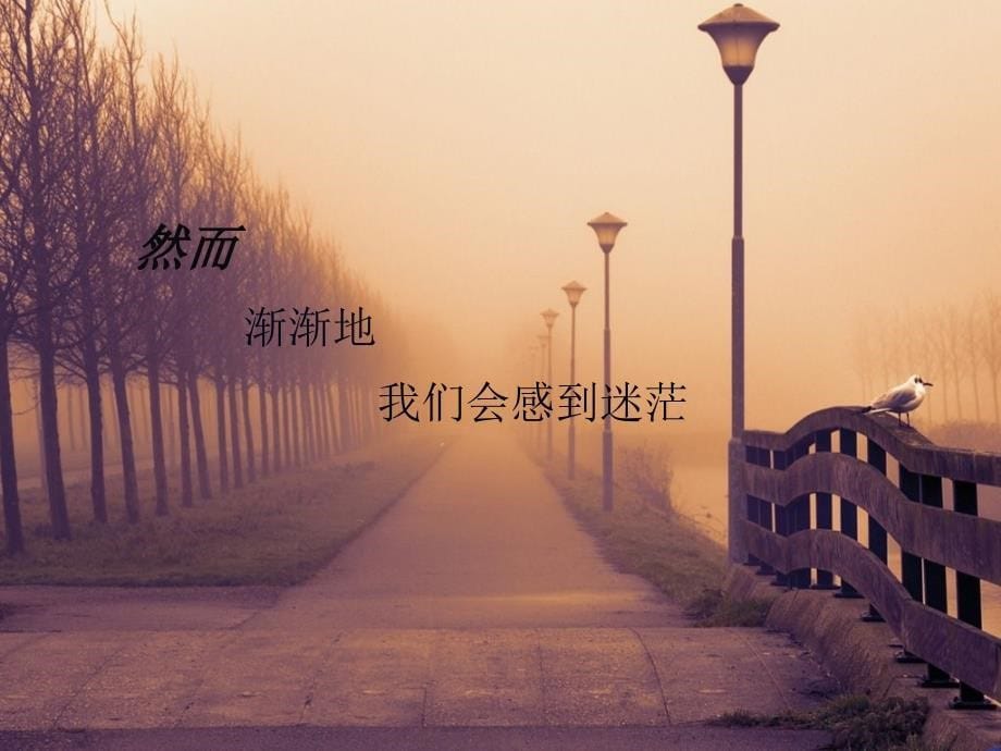 我的大学怎么过_第5页