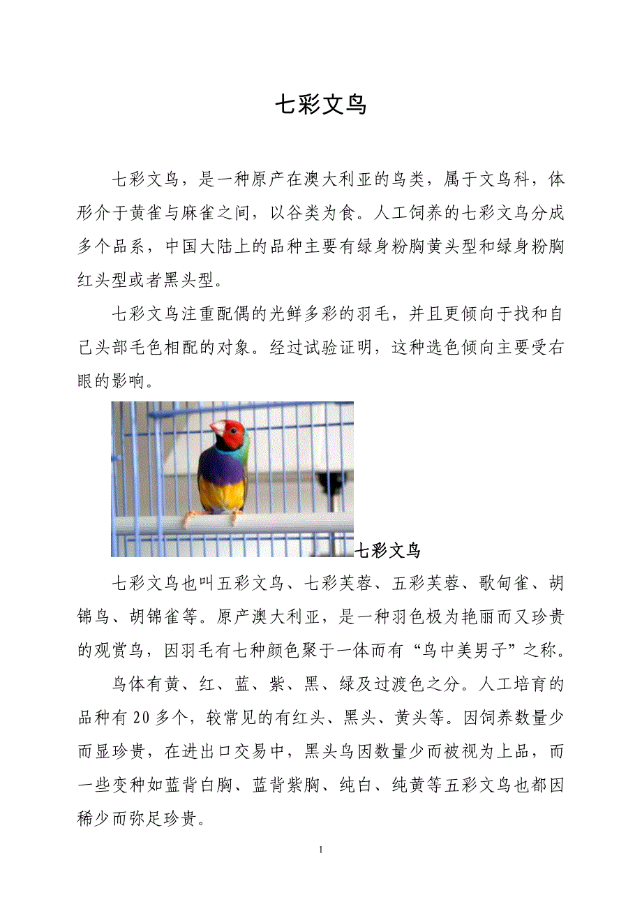 体形介于黄雀与麻雀之间的七彩文鸟_第1页