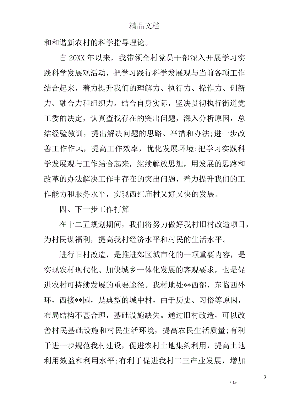 村支书职业年终工作总结报告 精选_第3页