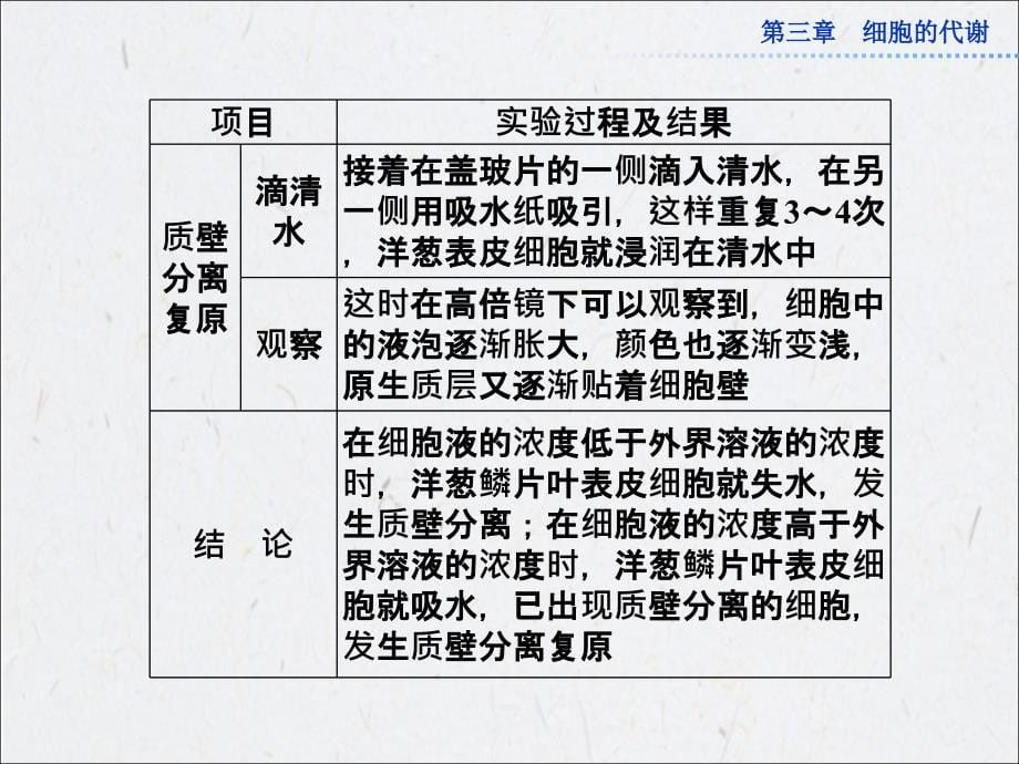 中图生物必修1活动课全册精品课件：观察洋葱表皮细胞的质壁分离及质壁分离复原_第5页