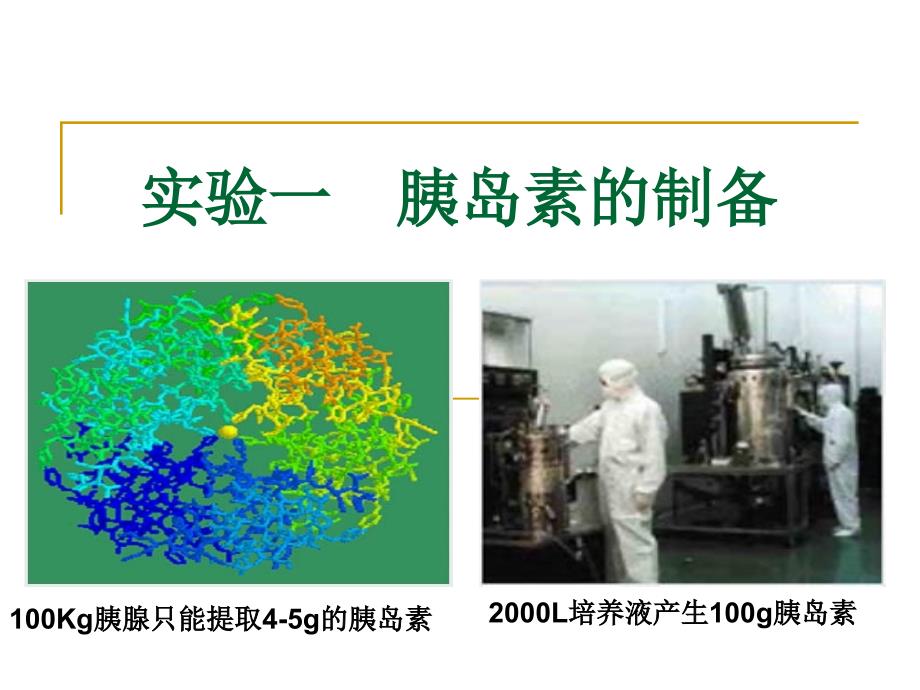 生物制药实验ppt_第2页