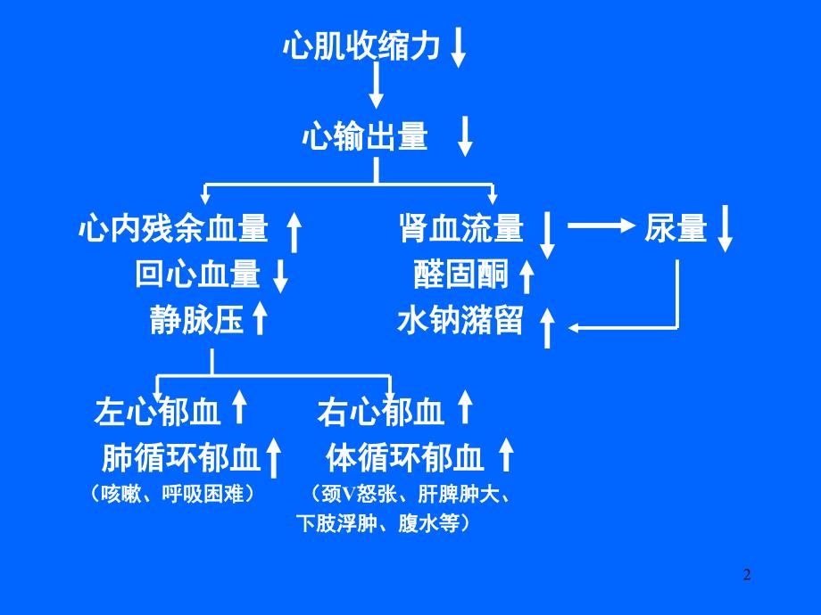 强心苷类(吕)_第2页