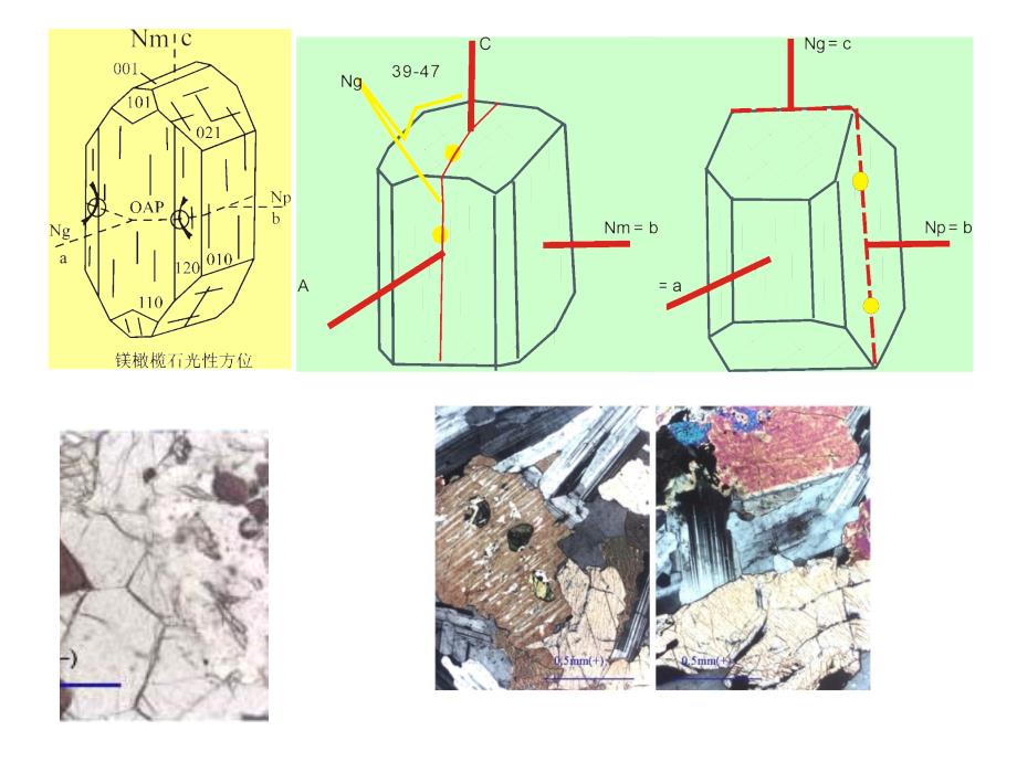 实习十一 橄榄石辉石_第2页
