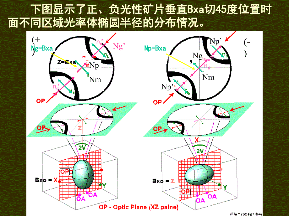 实习十一 橄榄石辉石_第3页