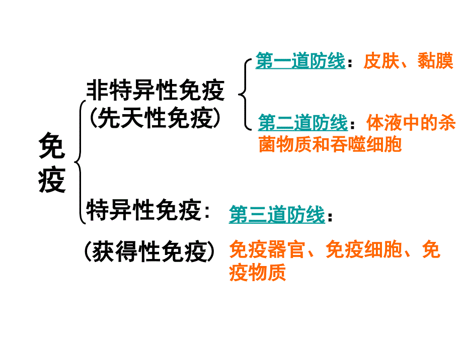 人体的免疫防线2_第1页