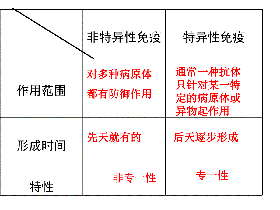 人体的免疫防线2_第2页