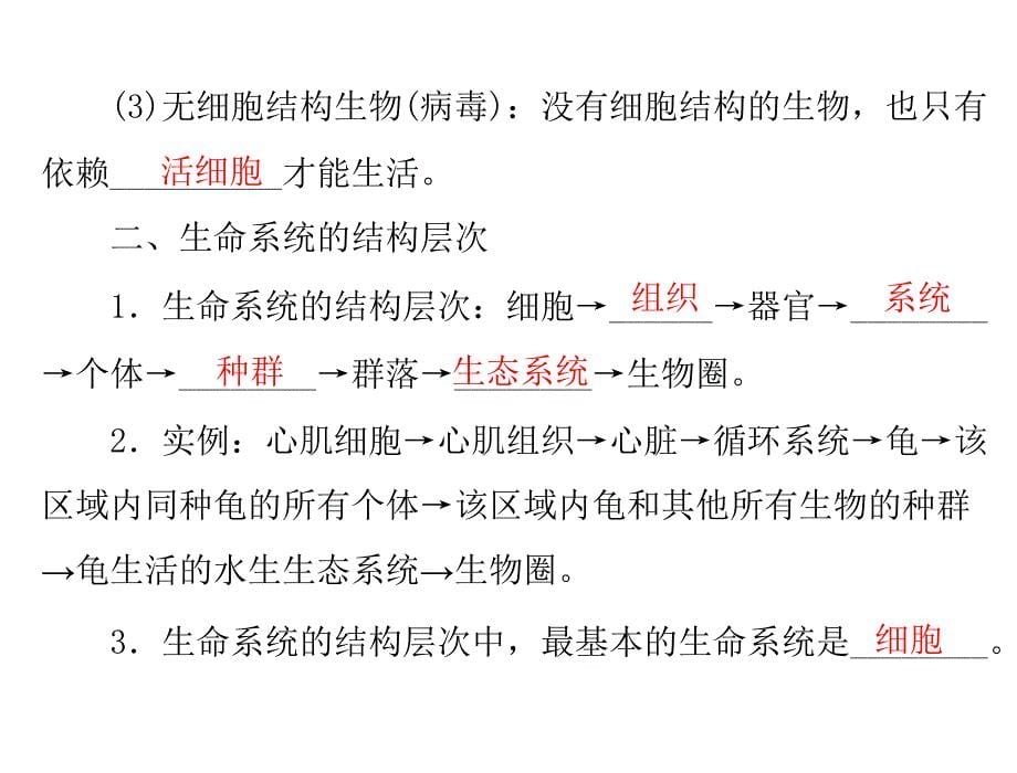 必修一  第一单元 走近细胞和细胞的分子组成_第5页