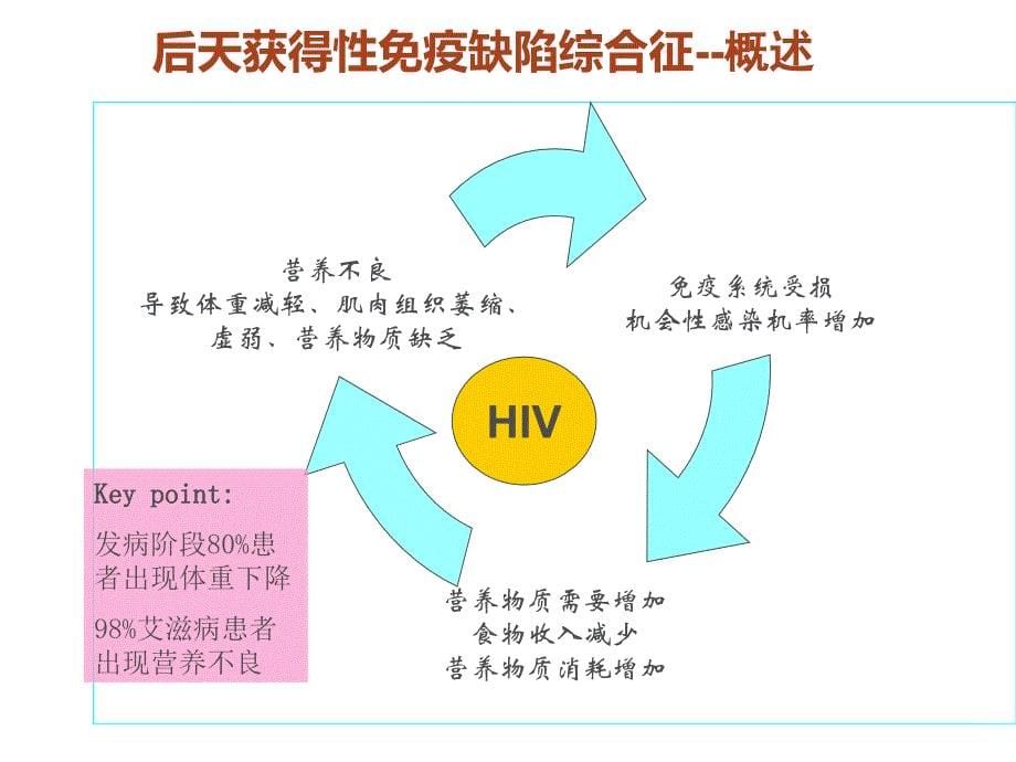 艾滋病营养治疗PPT课件_第5页