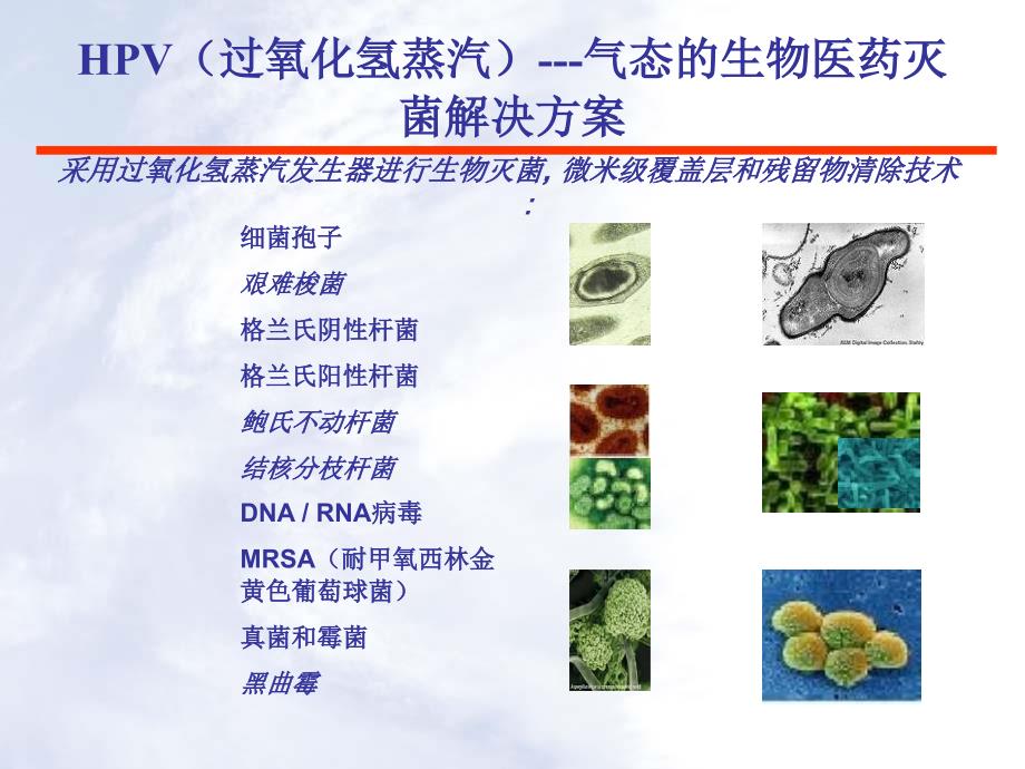 过氧化氢蒸汽（HPV）灭菌原理和应用_第2页