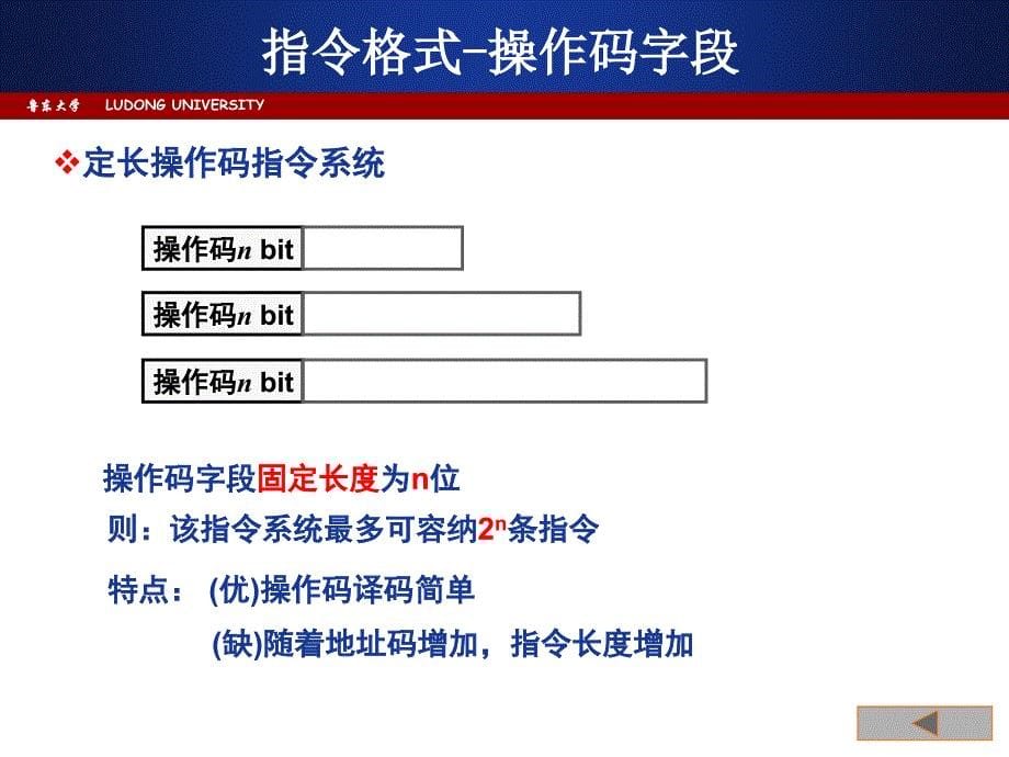 计算机组成原理-指令系统_第5页