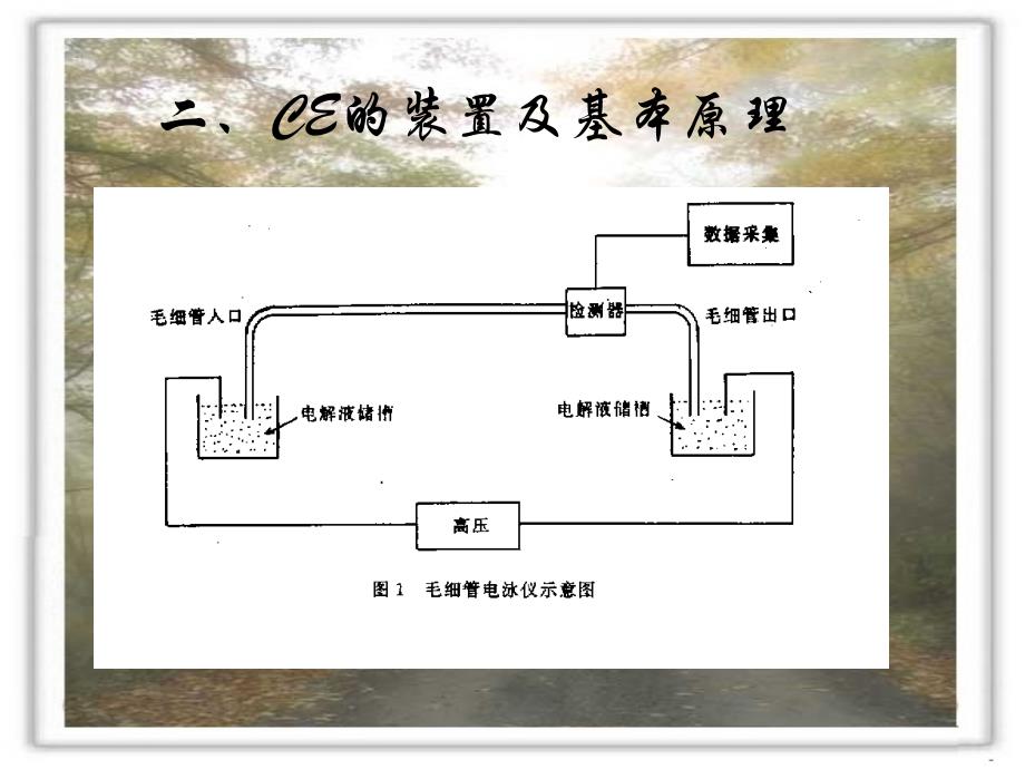 高效毛细管电泳.PPT_第3页