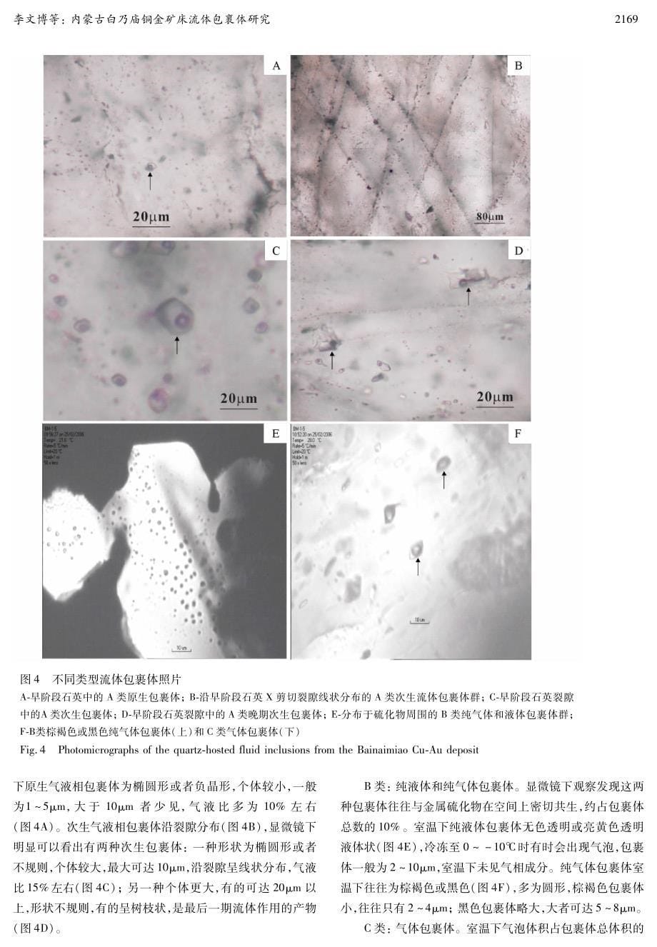 内蒙古白乃庙铜金矿床流体包裹体研究_第5页