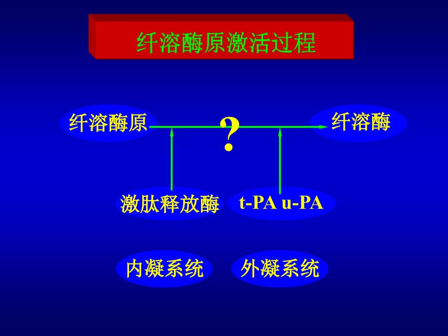 弥散性血管内凝血1_第4页