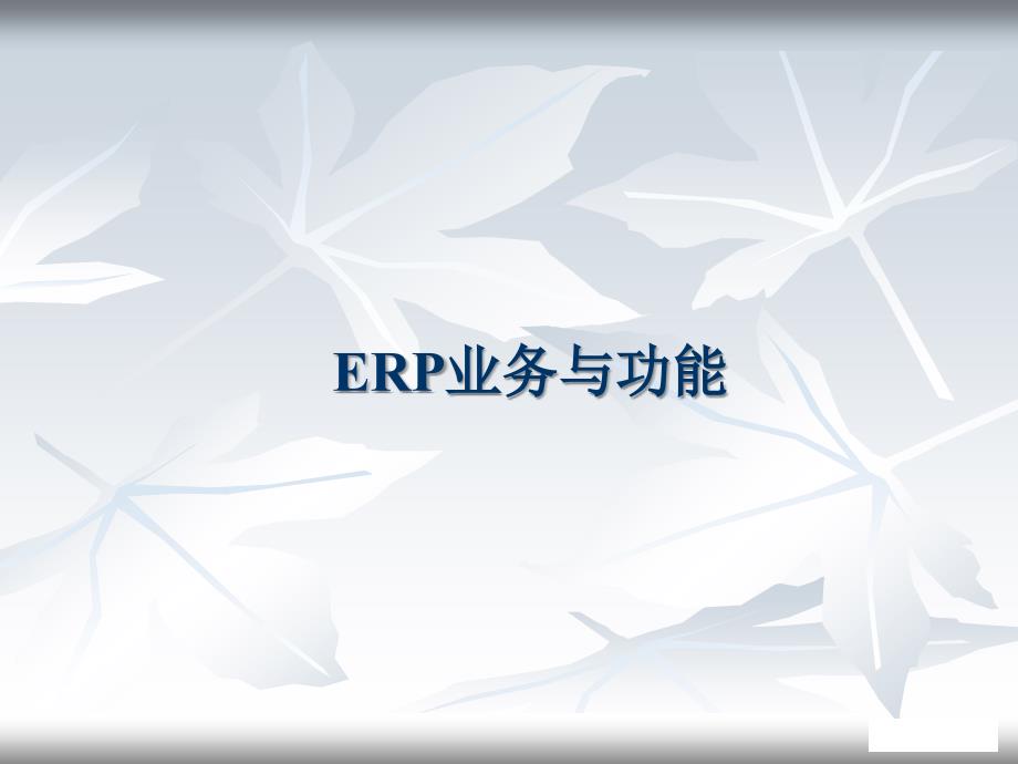 销售与采购培训：ERP业务与功能_第1页
