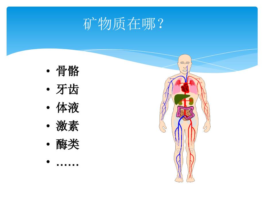 U营养学基础 矿物质PPT课件_第2页