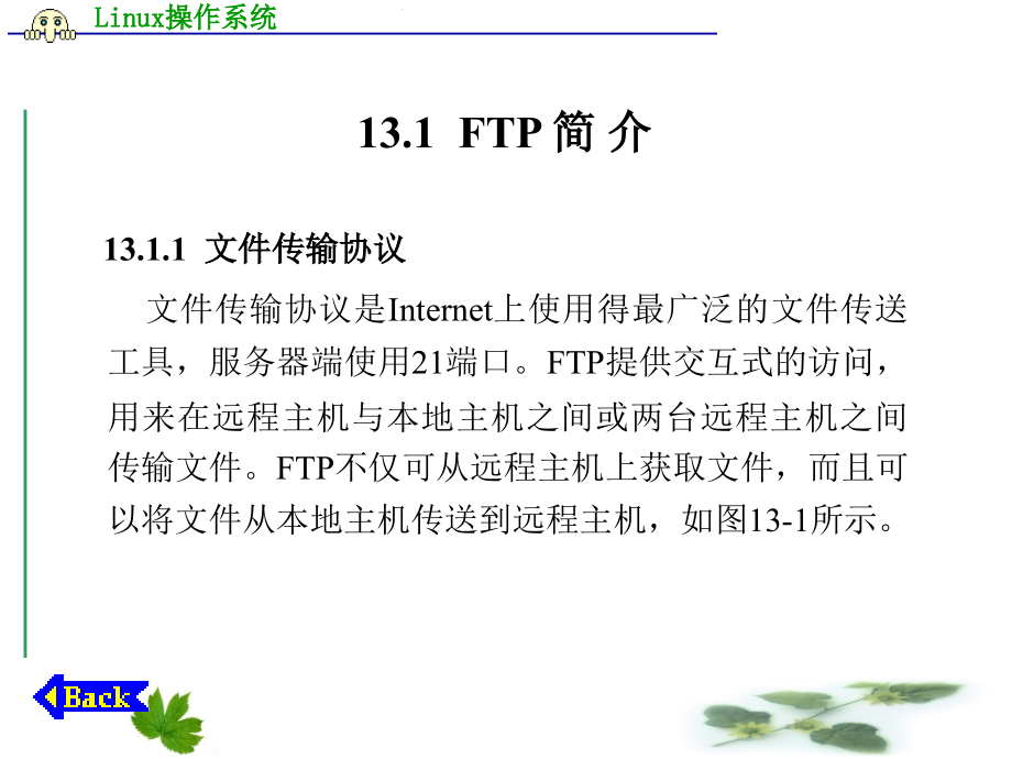 【Linux操作系统】第13章  FTP_第2页