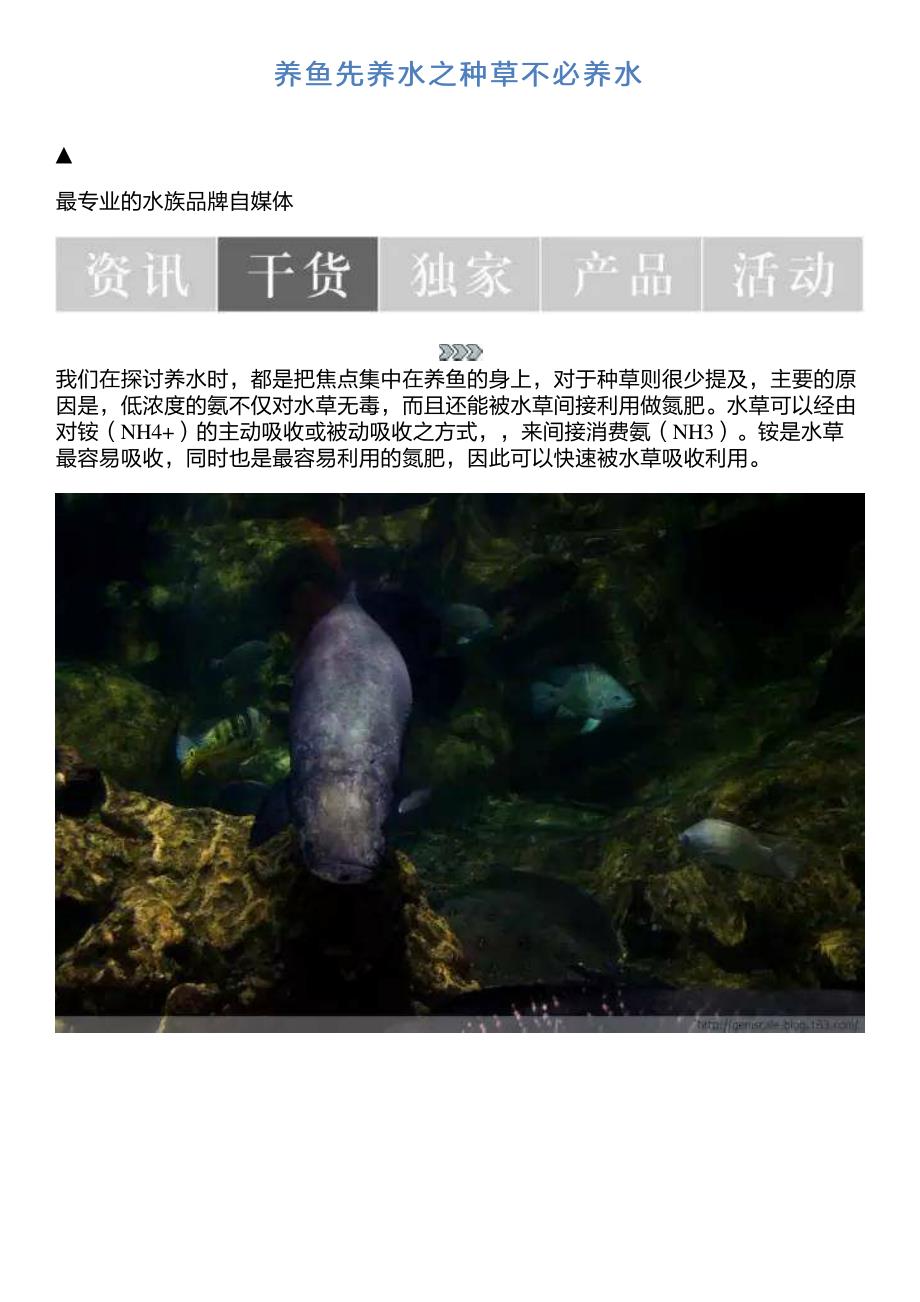 养鱼先养水之种草不必养水_第1页