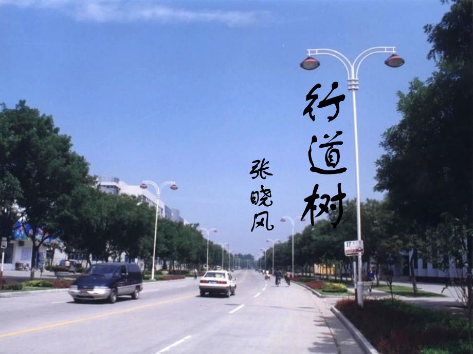 行道树  初中语文 教学课件 _第4页