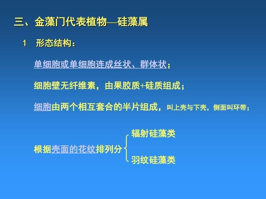 云南师大李志敏老师课件_第5页