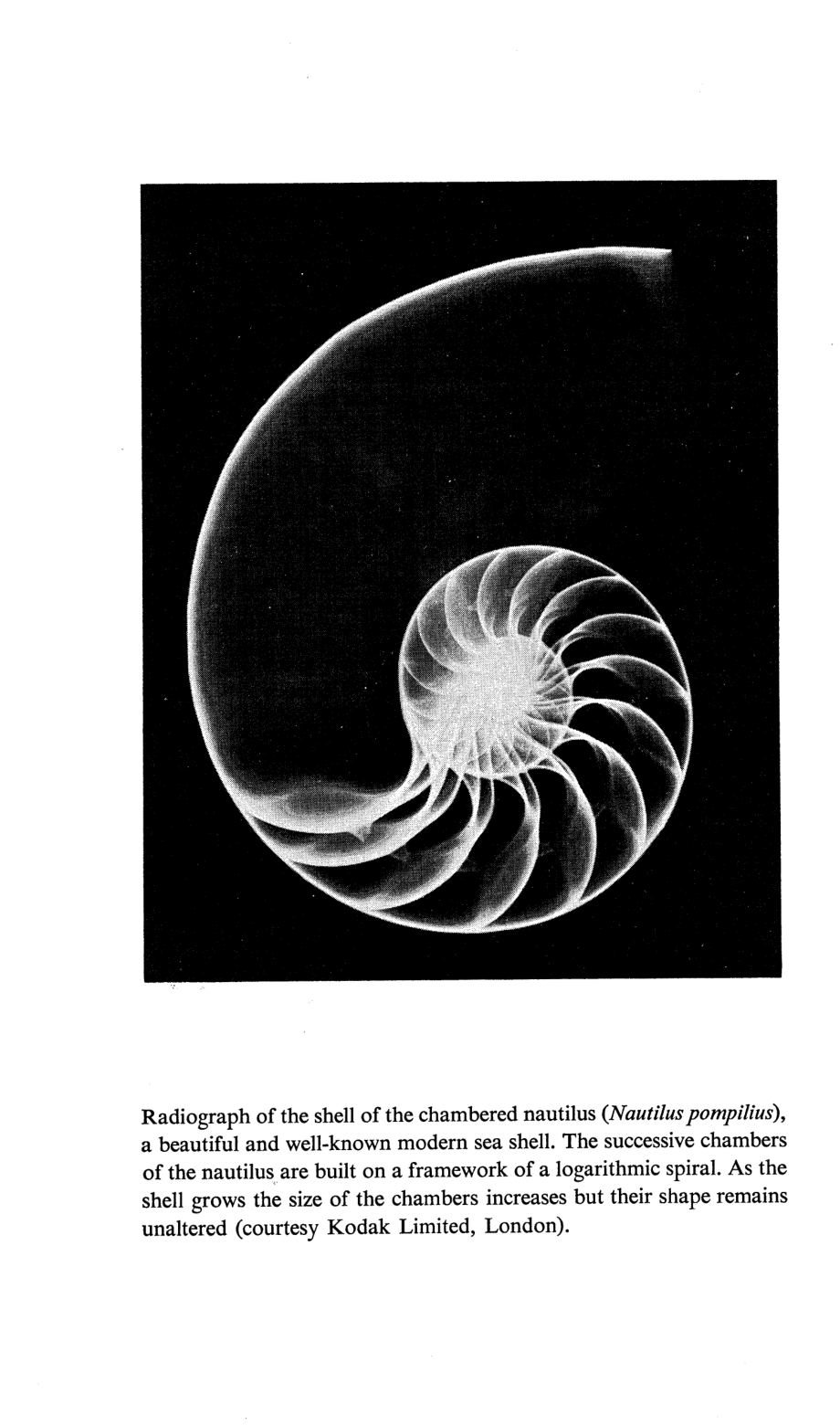 math - Huntley 1970 - The Divine Proportion - Kilroy_第4页