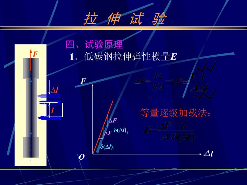 《材料力学》实验_第5页