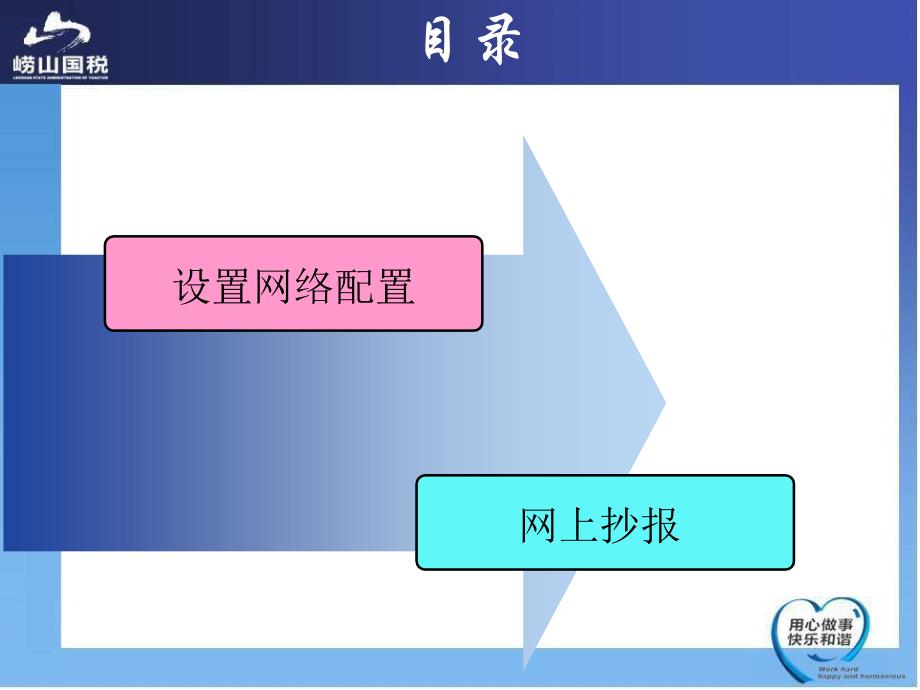 百旺金赋抄报税指南_第2页