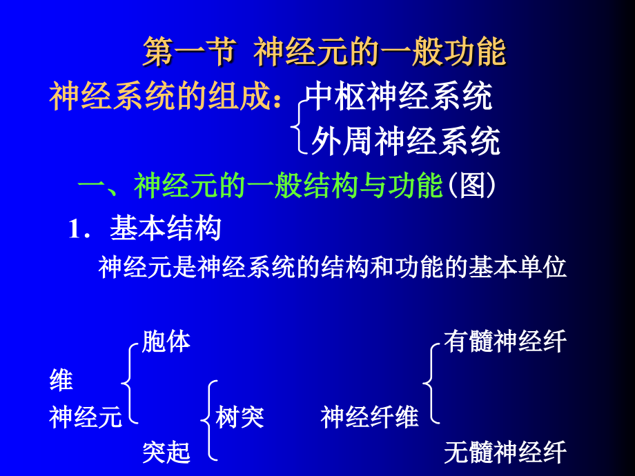 生理学课件10.神经系统的功能_第2页