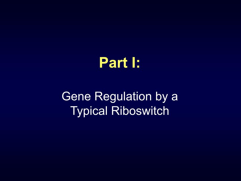 分子生物学第十一章  riboswitch_movie_第4页