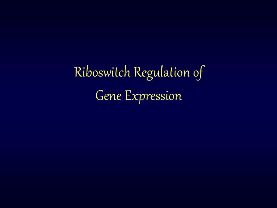 分子生物学第十一章  riboswitch_movie