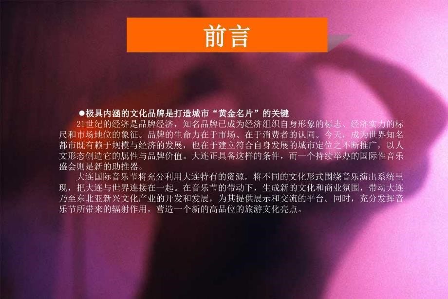 大连音乐节活动方案_大型国际音乐节方案_第5页